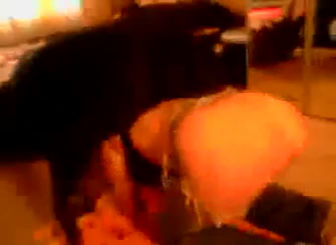 Video :Big ass whore got black dog xxx fucking her from behind