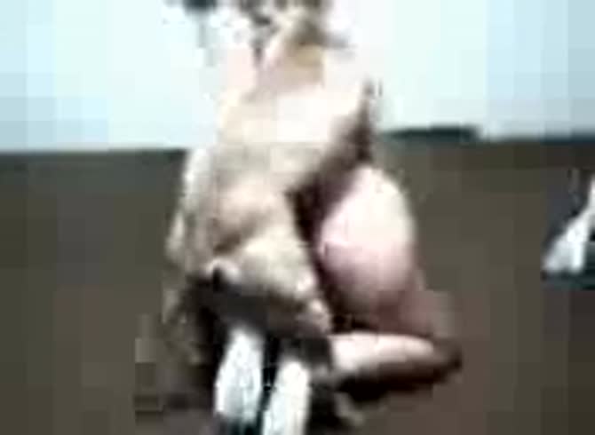 Video :Curvy bitch getting pussy wrecked in dog porno