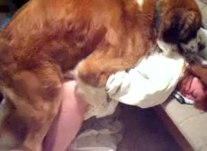 Video :Dog fucking a beastie gal from behind