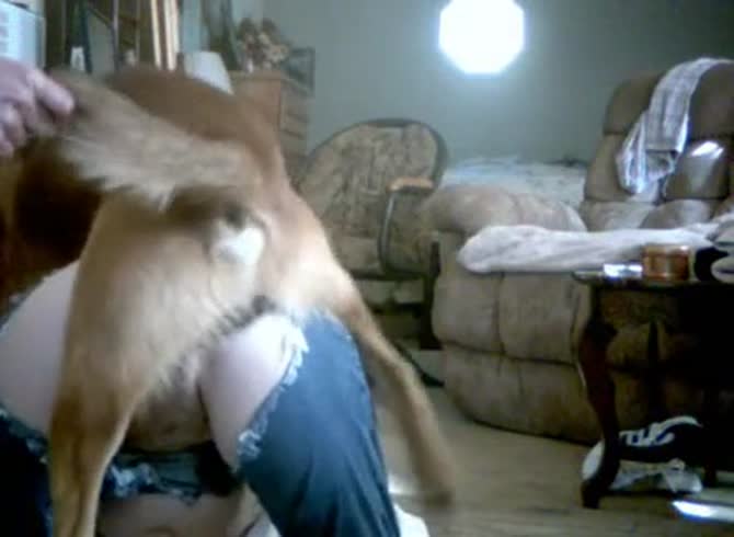 Video :Slut got her jeans ripped by dog and have dog sex