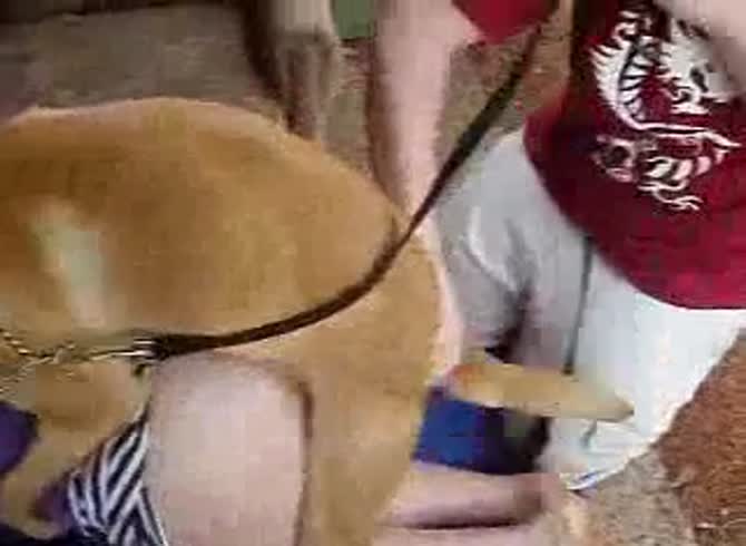 Video :Amateur dog sex with a curvy bitch and a brown dog