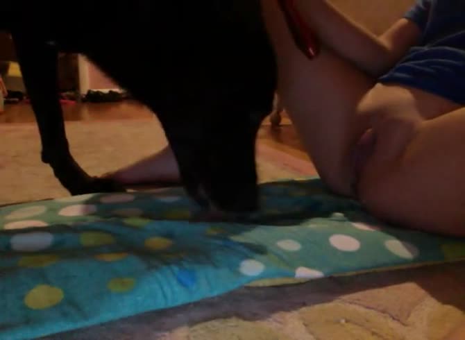 Video :Beastie gal enjoying dog oral sex while masturbating