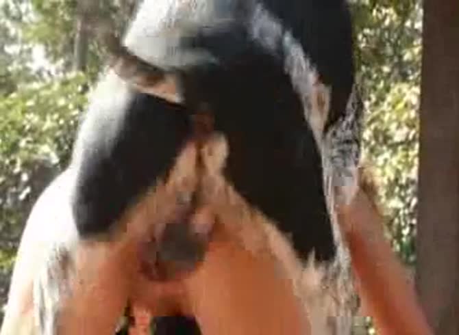 Video :Dog dick banging and fucking the hairy pussy of teen